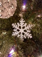 ornament-20
