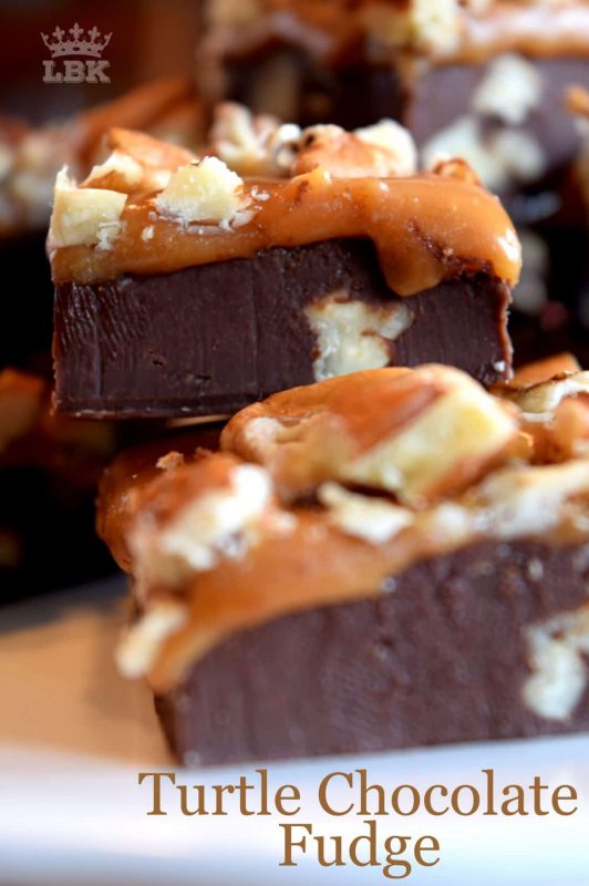 Turtle Chocolate Fudge
