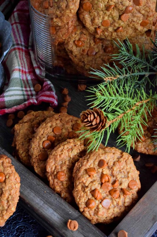 Oatmeal Cinnamon Chip Cookies