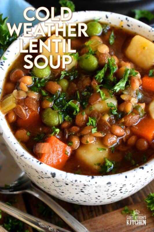 Finally a bowl of lentil soup with a nice thin broth, yet one that's hearty and filling enough to fight the cold weather chills! Loaded with good-for-you vegetables, and prepared with a savoury vegetable broth, this freezer-friendly soup is simply delicious! #soup #vegetables #lentils #broth