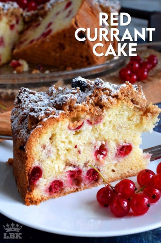 A very simple and rustic cake with a moist center and a crumbly topping. Red Currant Cake is an easy and gorgeous summer dessert! Easily prepared with fresh currants during harvesting season, or with frozen currants throughout the winter months! #red #currant #cake #crumb #topping #currants #redcurrants #coffeecake