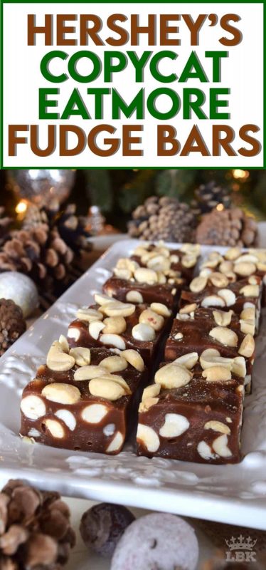 The candy bar of yesteryear comes back to life in this make-at-home copycat version.  Eat More Fudge Bars will satisfy all of your sweet tooth cravings and then some!  #eatmore #fudge #christmas #holiday #nobake