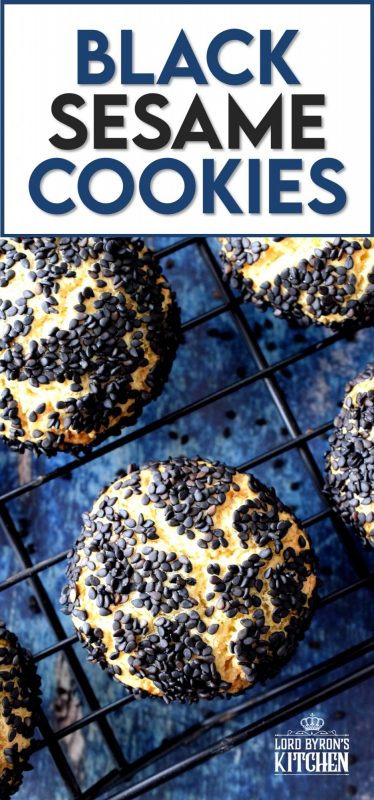 Fashioned after the traditional Sicilian Biscotti Regina, Black Sesame Citrus Cookies are tart and sweet with a crunchy exterior and a melt-in-your-mouth center.  Unique and different, these cookies not only taste great, but are made to impress and spark conversation! #sicilian #italian #blacksesame #italiancookies #citrus