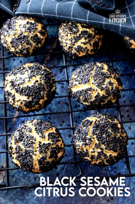 Fashioned after the traditional Sicilian Biscotti Regina, Black Sesame Citrus Cookies are tart and sweet with a crunchy exterior and a melt-in-your-mouth center. Unique and different, these cookies not only taste great, but are made to impress and spark conversation! #sicilian #italian #blacksesame #italiancookies #citrus