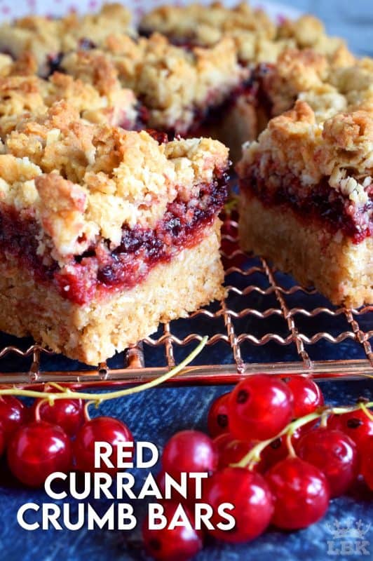 So fast, so easy, and so delicious! Red Currant Crumb Bars are a great dessert anytime, but also a delicious weekend brunch item! It's as easy as spreading homemade red currant jam between two layers of crumb topping! #red #currant #crumb #topping #bars #squares #redcurrants