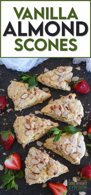 Slightly sweet, with a good splash of vanilla, and crunchy sliced almonds, Vanilla Almond Scones are an absolute delight. Scones quickly become everyone's favourite, so keep this recipe close. You'll make them over and over again. #vanilla #almonds #scones #brunch #basicrecipe #easyscones #baking