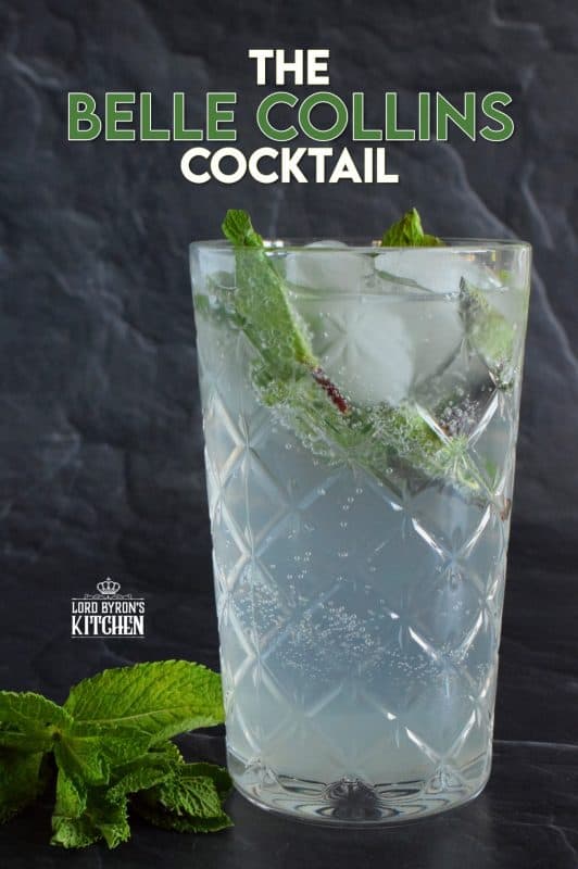 Make room for Tom's sister, Belle! This tall glass of minty-lemon flavoured cocktail is cold and refreshing. Prepared with simple ingredients like fresh mint leaves and lemon juice, gin, sugary syrup, and soda, it’s sure to wake up your senses! When it comes to drinks suited for lounging in the backyard on a hot, summer day, nothing beats Tom's sister, Belle! #bellecollins #cocktails #summerdrinks #refreshing #mint