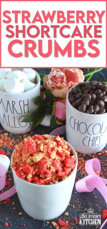 This recipe is one you had no idea you needed in your life until this very moment! Strawberry Shortcake Crumbs are about to open up a whole new world of dessert recipe options! So easy to prepare, and can be stored for quite a while; get ready for a strawberry taste explosion! #strawberry #shortcake #crumbs #goodhumor