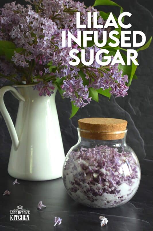 Lilac Infused Sugar is one of those things you didn't know you needed until you have it. Combine the two and watch the magic happen! Over the course of a few days, the sugar strips the lilac petals of all their moisture and scent. The sugar can then be used anywhere sugar is used! #lilac #infused #sugar #lilacsugar #lilacrecipes #infusedsugar