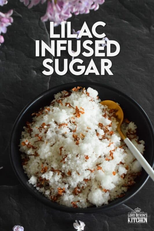 Lilac Infused Sugar is one of those things you didn't know you needed until you have it. Combine the two and watch the magic happen! Over the course of a few days, the sugar strips the lilac petals of all their moisture and scent. The sugar can then be used anywhere sugar is used! #lilac #infused #sugar #lilacsugar #lilacrecipes #infusedsugar