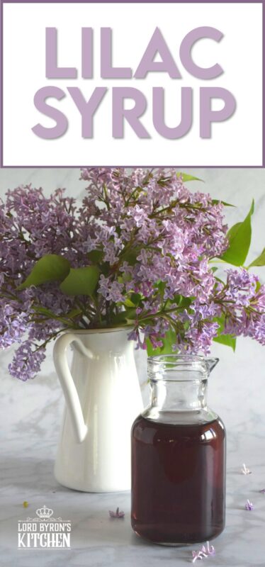 Lilacs are in full bloom right now, and if you're lucky enough to have a few trees near your house, I'm sure you can smell that lovely fragrance. Did you know that lilac petals are edible? Lilac Syrup is made with fully-bloomed lilac petals and is a great way to infuse some of your favourite early summer recipes with the lovely scent and a slightly citrus-like taste. #lilac #simplesyrup #cookingwithlilacs #lilacs #edibleflowers