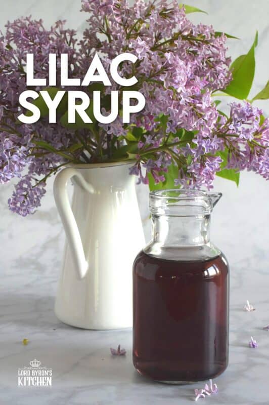 Lilacs are in full bloom right now, and if you're lucky enough to have a few trees near your house, I'm sure you can smell that lovely fragrance. Did you know that lilac petals are edible? Lilac Syrup is made with fully-bloomed lilac petals and is a great way to infuse some of your favourite early summer recipes with the lovely scent and a slightly citrus-like taste. #lilac #simplesyrup #cookingwithlilacs #lilacs #edibleflowers