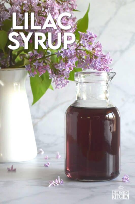 Lilacs are in full bloom right now, and if you're lucky enough to have a few trees near your house, I'm sure you can smell that lovely fragrance. Did you know that lilac petals are edible? Lilac Syrup is made with fully-bloomed lilac petals and is a great way to infuse some of your favourite early summer recipes with the lovely scent and a slightly citrus-like taste. #lilac #simplesyrup #cookingwithlilacs #lilacs #edibleflowers