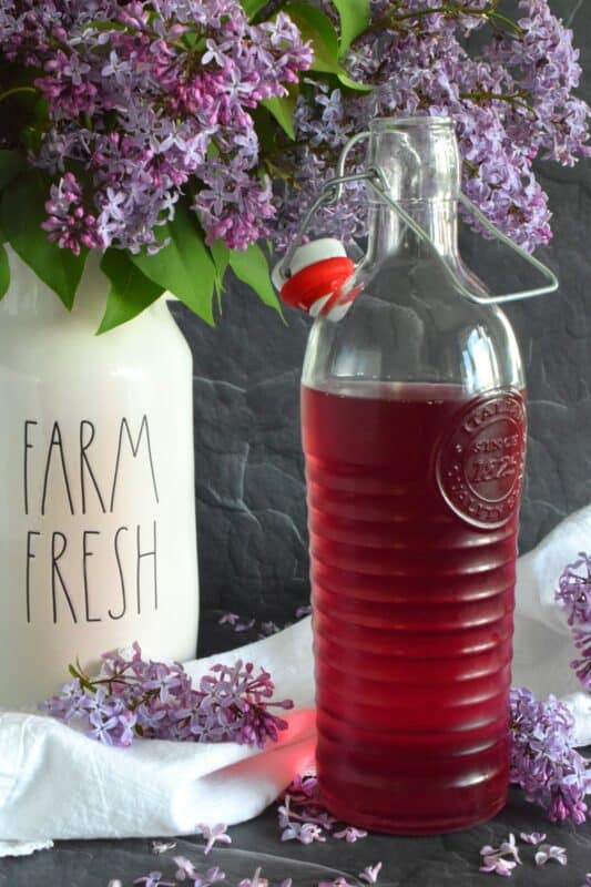 Who thinks of Anne of Green Gables whenever cordial is thought of or mentioned? If you do, you probably have an appreciation for simpler times when life wasn't so fast paced. Lilac Cordial is a perfectly sweet, cold, and refreshing early summer drink best enjoyed outside in your favourite chair with a good book! #lilac #cordial #squash #drinks #steeped #iceddrinks #summerdrinks