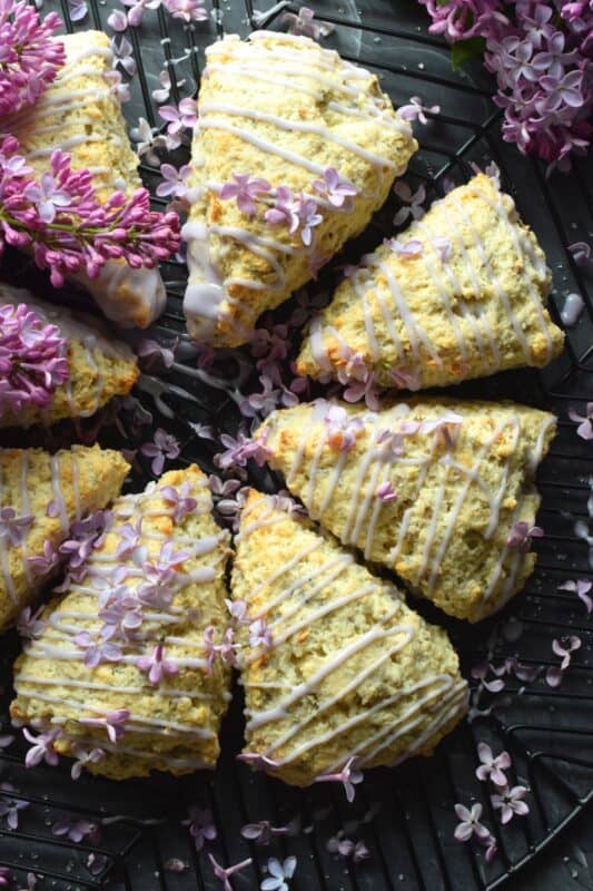 Glazed Lilac Scones are packed with fresh lilac petals and lots of lilac infused flavour too! If you didn't know lilacs were edible, you've been missing out this whole time! With a gentle lemon-like taste, and powerful and pungent floral overtones, these scones are great for any warm-weather breakfast or brunch. Lilac season is short, so get started right away! #lilacs #edibleflowers #scones #brunch #purple #bakingwithlilacs