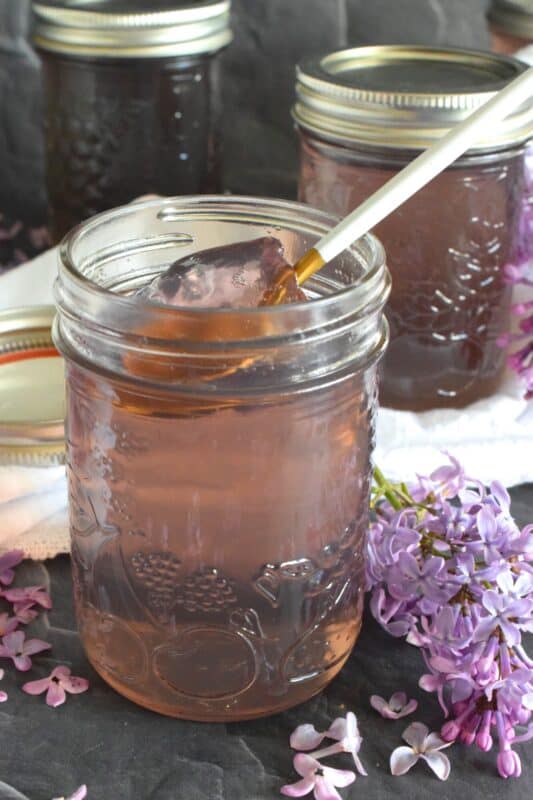 Turn those delicate pinkish-purple petals into a sweet, delicious treat! Lilac Blossom Jelly is prepared by steeping lilacs in water and straining the juice. Add in some sugar and pectic and in no time, you'll be spreading this jelly onto your toast and scones. Actually, you might just want to spoon this fragrant jelly over everything! #lilac #jelly #lilacs #canning #waterbath #edibleflowers