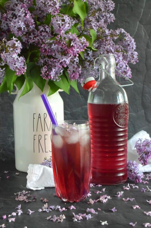 Who thinks of Anne of Green Gables whenever cordial is thought of or mentioned? If you do, you probably have an appreciation for simpler times when life wasn't so fast paced. Lilac Cordial is a perfectly sweet, cold, and refreshing early summer drink best enjoyed outside in your favourite chair with a good book! #lilac #cordial #squash #drinks #steeped #iceddrinks #summerdrinks