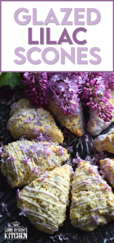 Glazed Lilac Scones are packed with fresh lilac petals and lots of lilac infused flavour too! If you didn't know lilacs were edible, you've been missing out this whole time! With a gentle lemon-like taste, and powerful and pungent floral overtones, these scones are great for any warm-weather breakfast or brunch. Lilac season is short, so get started right away! #lilacs #edibleflowers #scones #brunch #purple #bakingwithlilacs