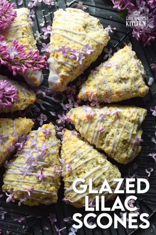 Glazed Lilac Scones are packed with fresh lilac petals and lots of lilac infused flavour too! If you didn't know lilacs were edible, you've been missing out this whole time! With a gentle lemon-like taste, and powerful and pungent floral overtones, these scones are great for any warm-weather breakfast or brunch. Lilac season is short, so get started right away! #lilacs #edibleflowers #scones #brunch #purple #bakingwithlilacs
