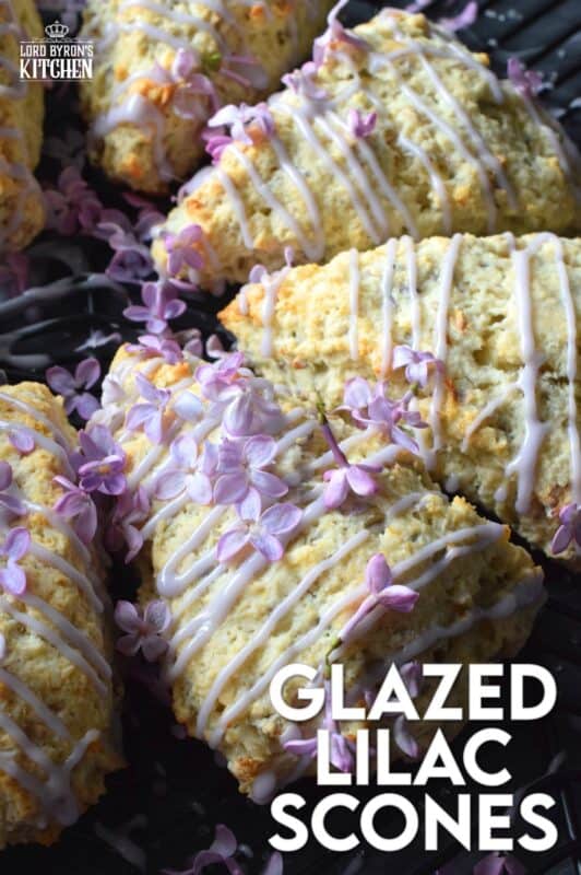 Glazed Lilac Scones are packed with fresh lilac petals and lots of lilac infused flavour too! If you didn't know lilacs were edible, you've been missing out this whole time! With a gentle lemon-like taste, and powerful and pungent floral overtones, these scones are great for any warm-weather breakfast or brunch. Lilac season is short, so get started right away! #lilacs #edibleflowers #scones #brunch #purple #bakingwithlilacs