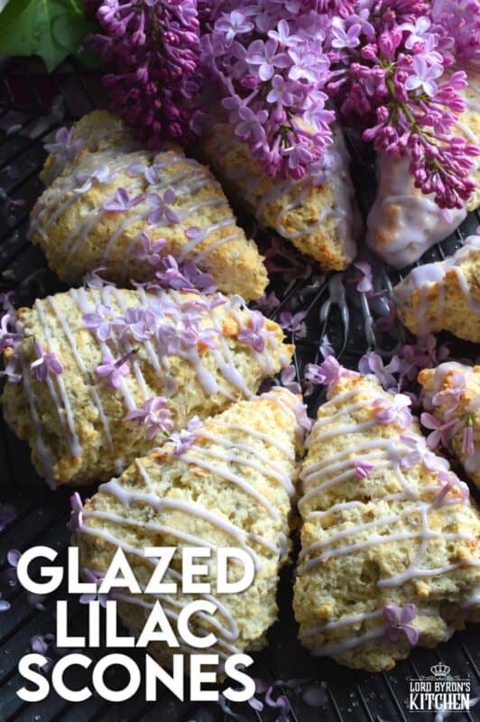 Glazed Lilac Scones are packed with fresh lilac petals and lots of lilac infused flavour too! If you didn't know lilacs were edible, you've been missing out this whole time! With a gentle lemon-like taste, and powerful and pungent floral overtones, these scones are great for any warm-weather breakfast or brunch. Lilac season is short, so get started right away! #lilacs #edibleflowers #scones #brunch #purple #bakingwithlilacs