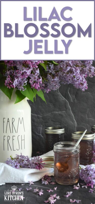 Turn those delicate pinkish-purple petals into a sweet, delicious treat! Lilac Blossom Jelly is prepared by steeping lilacs in water and straining the juice. Add in some sugar and pectic and in no time, you'll be spreading this jelly onto your toast and scones. Actually, you might just want to spoon this fragrant jelly over everything! #lilac #jelly #lilacs #canning #waterbath #edibleflowers