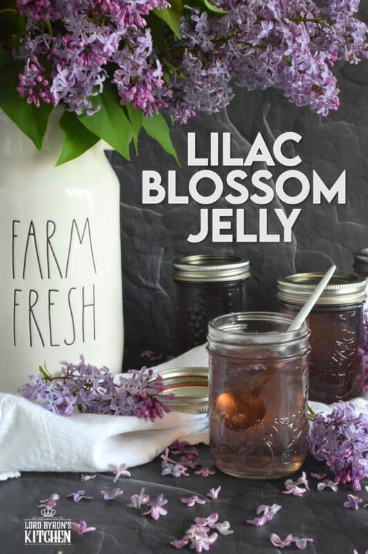 Turn those delicate pinkish-purple petals into a sweet, delicious treat! Lilac Blossom Jelly is prepared by steeping lilacs in water and straining the juice. Add in some sugar and pectic and in no time, you'll be spreading this jelly onto your toast and scones. Actually, you might just want to spoon this fragrant jelly over everything! #lilac #jelly #lilacs #canning #waterbath #edibleflowers