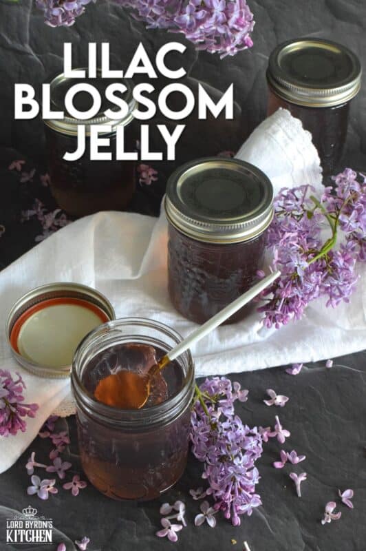 Turn those delicate pinkish-purple petals into a sweet, delicious treat! Lilac Blossom Jelly is prepared by steeping lilacs in water and straining the juice. Add in some sugar and pectic and in no time, you'll be spreading this jelly onto your toast and scones. Actually, you might just want to spoon this fragrant jelly over everything! #lilac #jelly #lilacs #canning #waterbath #edibleflowers