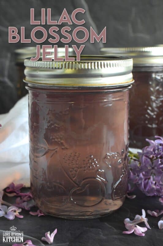 Turn those delicate pinkish-purple petals into a sweet, delicious treat! Lilac Blossom Jelly is prepared by steeping lilacs in water and straining the juice. Add in some sugar and pectic and in no time, you'll be spreading this jelly onto your toast and scones. Actually, you might just want to spoon this fragrant jelly over everything! #lilac #jelly #lilacs #canning #waterbath #edibleflowers
