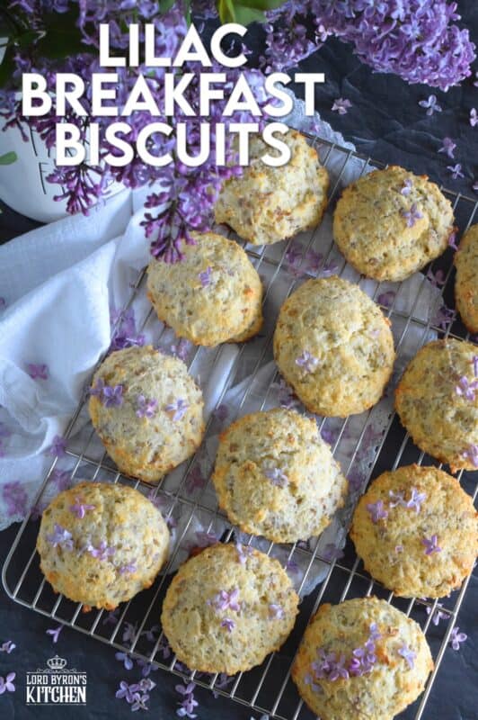 Light and fluffy Lilac Breakfast Biscuits are not your average biscuit. They are only slightly sweet, but they are very aromatic and pretty too! Some refer to these as tea biscuits, but they're quite large and too special to be just a biscuit. Prepare these for a weekend family breakfast or make them a part of a guest brunch - they really are quite impressive! #lilacs #breakfast #brunch #teabiscuits #biscuits