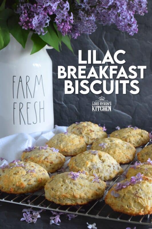 Light and fluffy Lilac Breakfast Biscuits are not your average biscuit. They are only slightly sweet, but they are very aromatic and pretty too! Some refer to these as tea biscuits, but they're quite large and too special to be just a biscuit. Prepare these for a weekend family breakfast or make them a part of a guest brunch - they really are quite impressive! #lilacs #breakfast #brunch #teabiscuits #biscuits