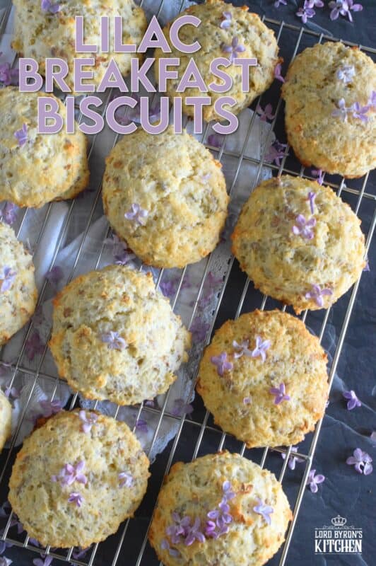 Light and fluffy Lilac Breakfast Biscuits are not your average biscuit. They are only slightly sweet, but they are very aromatic and pretty too! Some refer to these as tea biscuits, but they're quite large and too special to be just a biscuit. Prepare these for a weekend family breakfast or make them a part of a guest brunch - they really are quite impressive! #lilacs #breakfast #brunch #teabiscuits #biscuits