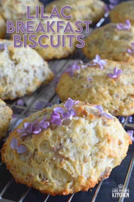 Light and fluffy Lilac Breakfast Biscuits are not your average biscuit. They are only slightly sweet, but they are very aromatic and pretty too! Some refer to these as tea biscuits, but they're quite large and too special to be just a biscuit. Prepare these for a weekend family breakfast or make them a part of a guest brunch - they really are quite impressive! #lilacs #breakfast #brunch #teabiscuits #biscuits