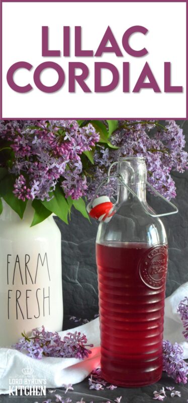 Who thinks of Anne of Green Gables whenever cordial is thought of or mentioned? If you do, you probably have an appreciation for simpler times when life wasn't so fast paced. Lilac Cordial is a perfectly sweet, cold, and refreshing early summer drink best enjoyed outside in your favourite chair with a good book! #lilac #cordial #squash #drinks #steeped #iceddrinks #summerdrinks