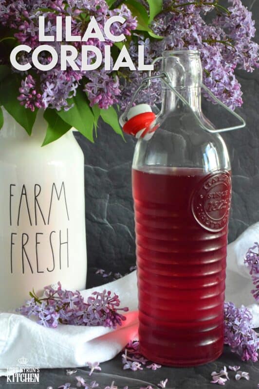 Who thinks of Anne of Green Gables whenever cordial is thought of or mentioned? If you do, you probably have an appreciation for simpler times when life wasn't so fast paced. Lilac Cordial is a perfectly sweet, cold, and refreshing early summer drink best enjoyed outside in your favourite chair with a good book! #lilac #cordial #squash #drinks #steeped #iceddrinks #summerdrinks