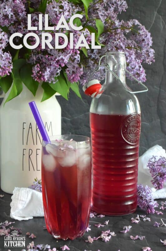 Who thinks of Anne of Green Gables whenever cordial is thought of or mentioned? If you do, you probably have an appreciation for simpler times when life wasn't so fast paced. Lilac Cordial is a perfectly sweet, cold, and refreshing early summer drink best enjoyed outside in your favourite chair with a good book! #lilac #cordial #squash #drinks #steeped #iceddrinks #summerdrinks