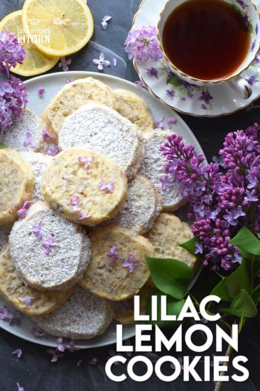 Prepare these cookies in advance and bake them up in a hurry whenever needed. Straight from the fridge to the oven, Lilac Lemon Cookies are delicious and pretty too! As an added bonus, these cookies can be rolled, wrapped, and frozen for up to three months! Then, when ready, thaw, slice, and bake! #lilac #lemon #cookies #edibleflowers #lilaccookies #lilacs
