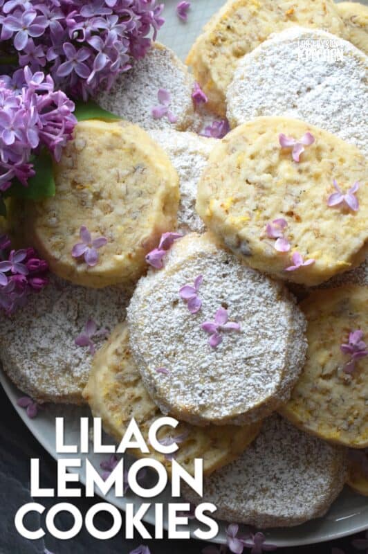 Prepare these cookies in advance and bake them up in a hurry whenever needed. Straight from the fridge to the oven, Lilac Lemon Cookies are delicious and pretty too! As an added bonus, these cookies can be rolled, wrapped, and frozen for up to three months! Then, when ready, thaw, slice, and bake! #lilac #lemon #cookies #edibleflowers #lilaccookies #lilacs