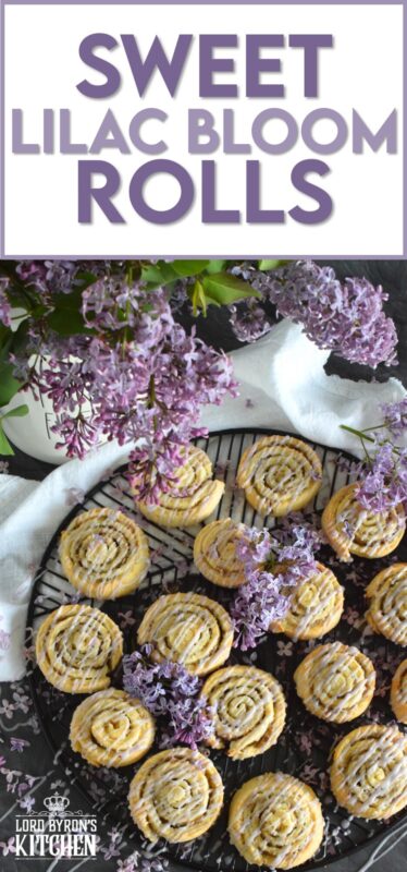 Sweet Lilac Bloom Rolls are made with a light, buttery, biscuit-like dough and rolled tightly with sugar and lilac petals. The sugar melts and begins to caramelize, while the petals infuse and permeate the rolls with a fresh fragrance and a mild lemony flavour. Drizzled with a lilac syrup icing, these are absolutely delicious and gorgeous too! #lilac #rolls #breakfast #brunch #frosting #iced #blooms #edibleflowers