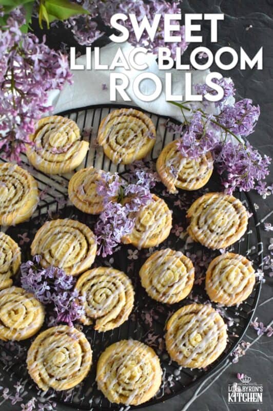 Sweet Lilac Bloom Rolls are made with a light, buttery, biscuit-like dough and rolled tightly with sugar and lilac petals. The sugar melts and begins to caramelize, while the petals infuse and permeate the rolls with a fresh fragrance and a mild lemony flavour. Drizzled with a lilac syrup icing, these are absolutely delicious and gorgeous too! #lilac #rolls #breakfast #brunch #frosting #iced #blooms #edibleflowers