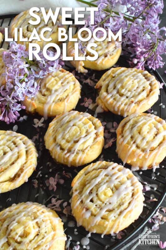 Sweet Lilac Bloom Rolls are made with a light, buttery, biscuit-like dough and rolled tightly with sugar and lilac petals. The sugar melts and begins to caramelize, while the petals infuse and permeate the rolls with a fresh fragrance and a mild lemony flavour. Drizzled with a lilac syrup icing, these are absolutely delicious and gorgeous too! #lilac #rolls #breakfast #brunch #frosting #iced #blooms #edibleflowers