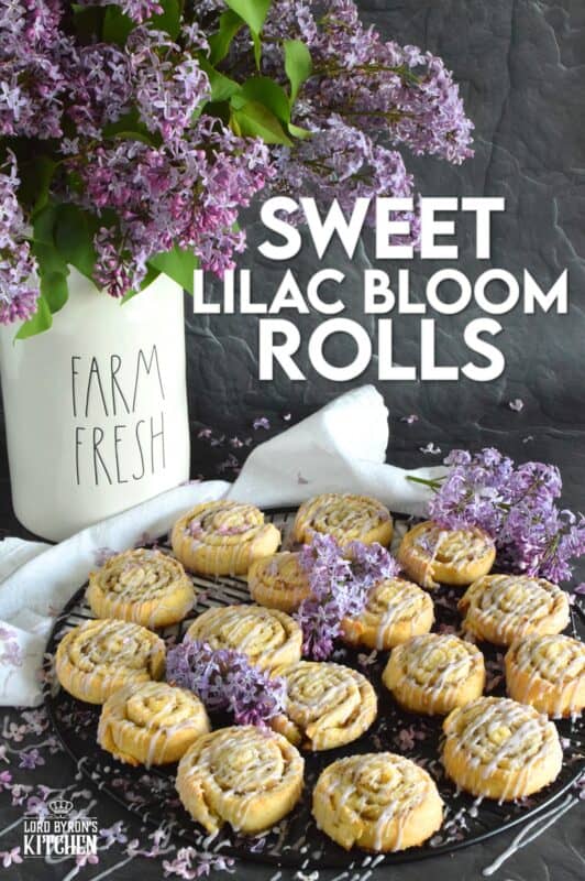 Sweet Lilac Bloom Rolls are made with a light, buttery, biscuit-like dough and rolled tightly with sugar and lilac petals. The sugar melts and begins to caramelize, while the petals infuse and permeate the rolls with a fresh fragrance and a mild lemony flavour. Drizzled with a lilac syrup icing, these are absolutely delicious and gorgeous too! #lilac #rolls #breakfast #brunch #frosting #iced #blooms #edibleflowers