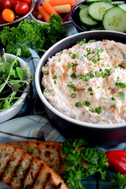 In more cases than not, simple is best, which is why this Cheese and Onion Dip is one of my personal favourites! There's a time and place for dips that are more complex, but there's always a time for a dip that is super fast and easy to whip up, while being addictingly delicious!! #dip #cheesedip #oniondip #cheeseandonion #colddip #cheddar