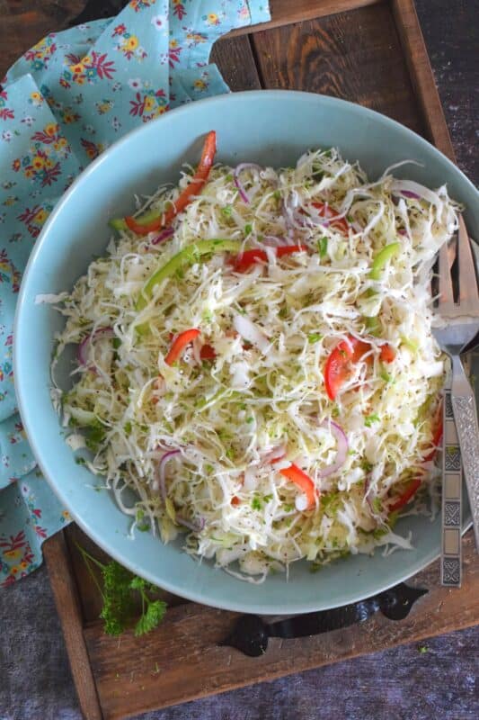 Apple Cider Vinegar Coleslaw is packed with robust flavours!  Like most coleslaw recipes, this one starts with shredded cabbage, but it is combined with red and green bell peppers, and thinly sliced red onions too.  Tossed in a sweet oil and vinegar dressing, it’s hard to say no to a second helping! #coleslaw #vinegary #applecider #salad #summersides