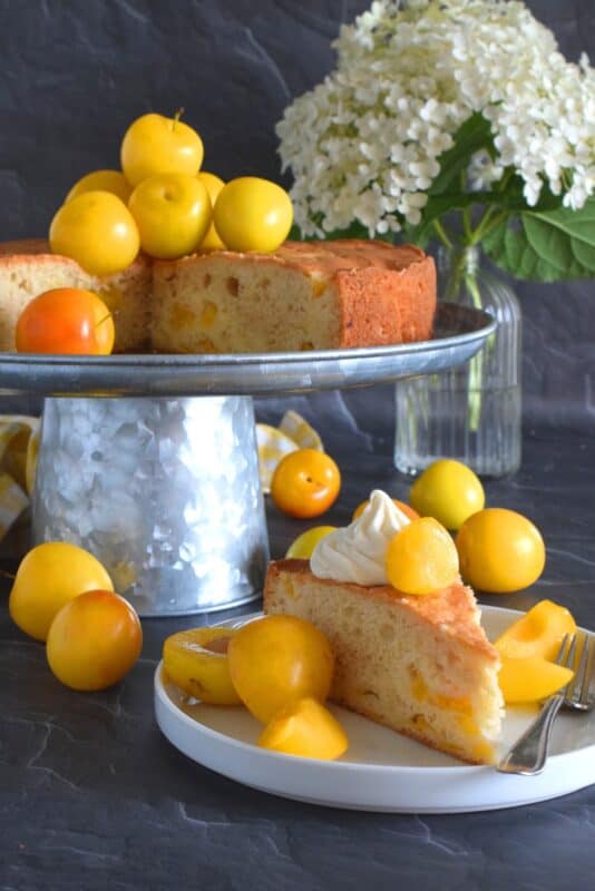 Whether you use red, black, or yellow plums, this cake will be perfectly balanced with just the right amount of sweetness and tartness. Cut yourself a big slice of this Tart Plum Cake and top it with ice cream or whipped cream, but, don't overdo it! Let the flavours of this cake shine through, don't mask or muddle it with toppings! #plums #yellowplums #stonefruit #summerdessert #cake #dessert