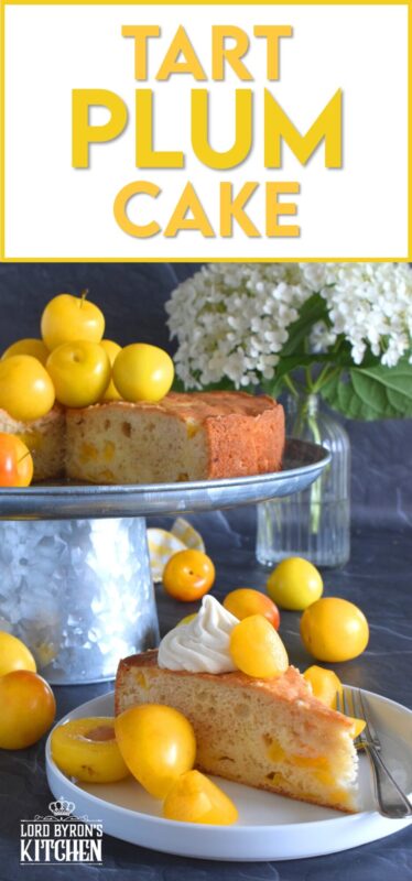 Whether you use red, black, or yellow plums, this cake will be perfectly balanced with just the right amount of sweetness and tartness. Cut yourself a big slice of this Tart Plum Cake and top it with ice cream or whipped cream, but, don't overdo it! Let the flavours of this cake shine through, don't mask or muddle it with toppings! #plums #yellowplums #stonefruit #summerdessert #cake #dessert