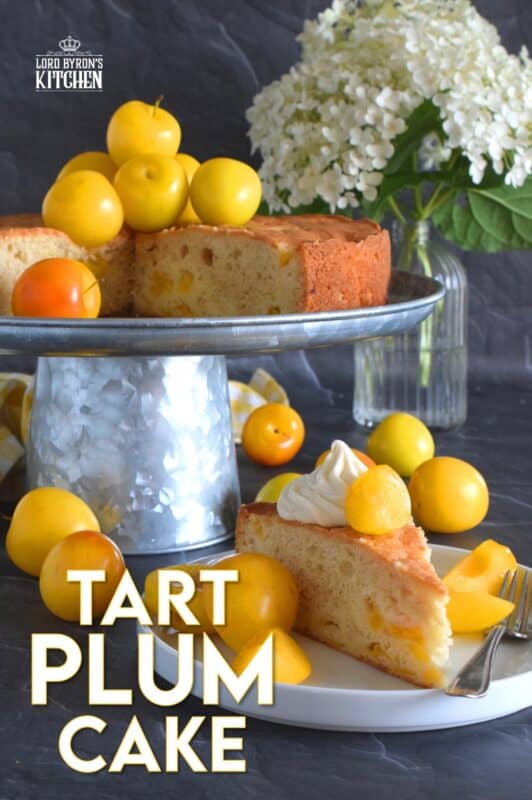 Whether you use red, black, or yellow plums, this cake will be perfectly balanced with just the right amount of sweetness and tartness. Cut yourself a big slice of this Tart Plum Cake and top it with ice cream or whipped cream, but, don't overdo it! Let the flavours of this cake shine through, don't mask or muddle it with toppings! #plums #yellowplums #stonefruit #summerdessert #cake #dessert