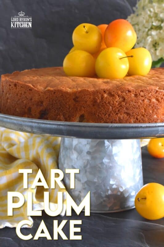 Whether you use red, black, or yellow plums, this cake will be perfectly balanced with just the right amount of sweetness and tartness. Cut yourself a big slice of this Tart Plum Cake and top it with ice cream or whipped cream, but, don't overdo it! Let the flavours of this cake shine through, don't mask or muddle it with toppings! #plums #yellowplums #stonefruit #summerdessert #cake #dessert