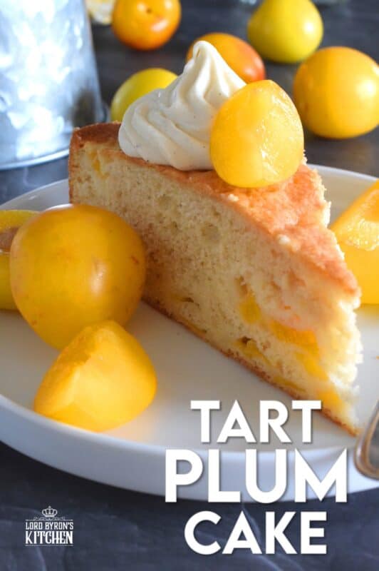 Whether you use red, black, or yellow plums, this cake will be perfectly balanced with just the right amount of sweetness and tartness. Cut yourself a big slice of this Tart Plum Cake and top it with ice cream or whipped cream, but, don't overdo it! Let the flavours of this cake shine through, don't mask or muddle it with toppings! #plums #yellowplums #stonefruit #summerdessert #cake #dessert