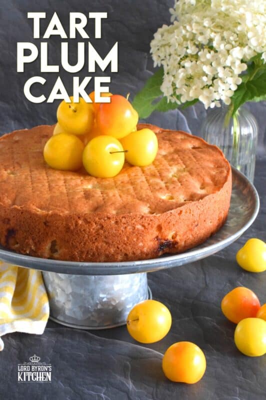 Whether you use red, black, or yellow plums, this cake will be perfectly balanced with just the right amount of sweetness and tartness. Cut yourself a big slice of this Tart Plum Cake and top it with ice cream or whipped cream, but, don't overdo it! Let the flavours of this cake shine through, don't mask or muddle it with toppings! #plums #yellowplums #stonefruit #summerdessert #cake #dessert